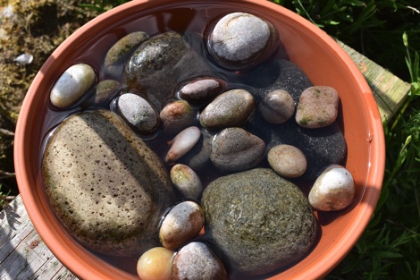 A Bee bowl
